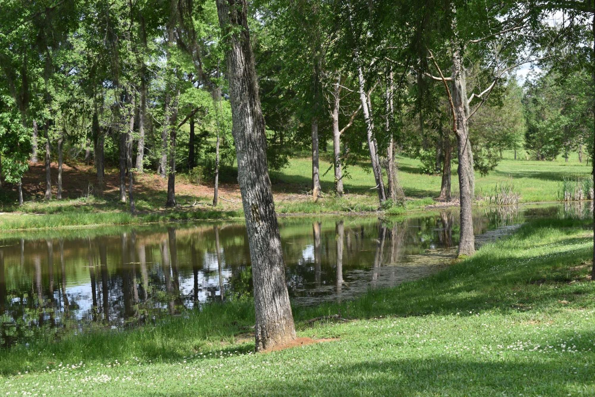 Kick Back Ranch Camping Ramer